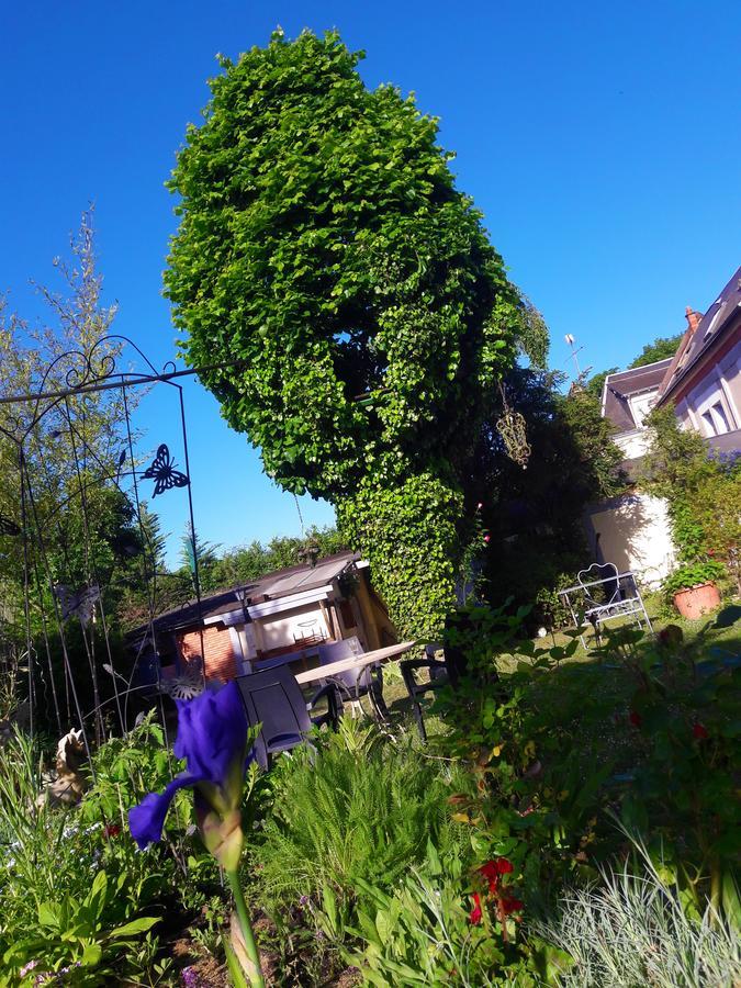 Bed and Breakfast Le Vieux Vauvert à Rochecorbon Extérieur photo