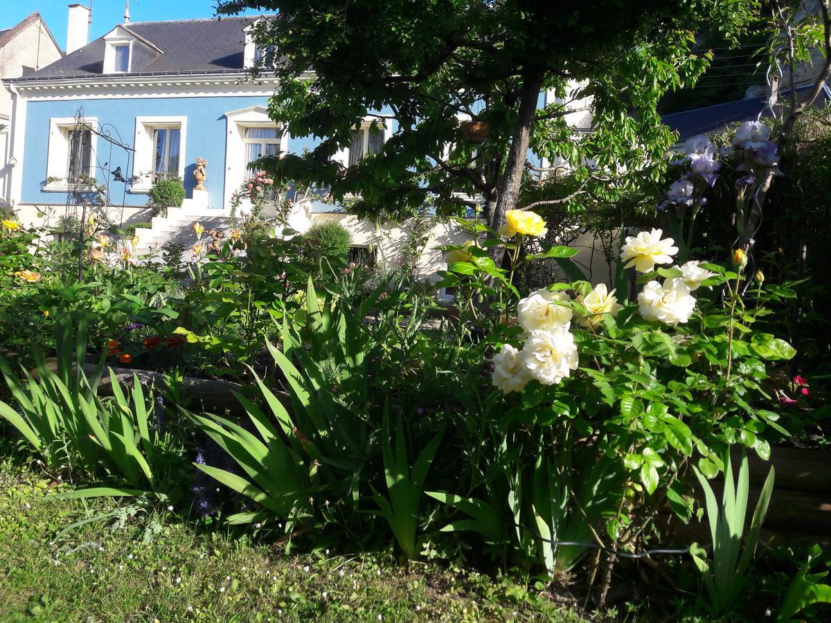 Bed and Breakfast Le Vieux Vauvert à Rochecorbon Extérieur photo